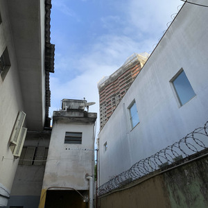 Montagem Elas Gostam