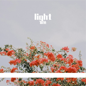 light-轻鱼