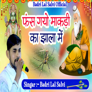 Fas Gyo Makdi Ka Jhala Mein