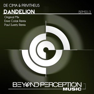 Dandelion (Paul Surety Remix)
