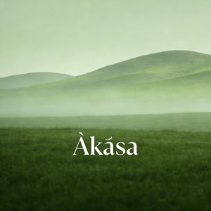 绿财神心咒 | 滋养