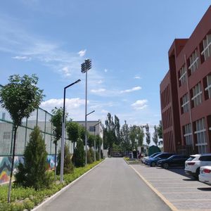 梅雨季的糖霜在融化