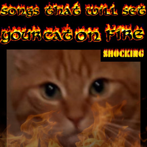 Chipmunk having a mental breakdown