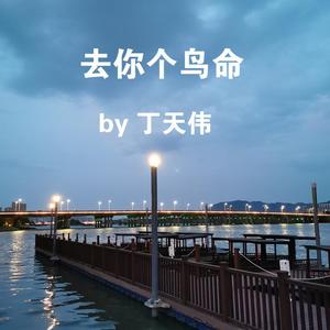 哪吒之去你个鸟命 (Demo)