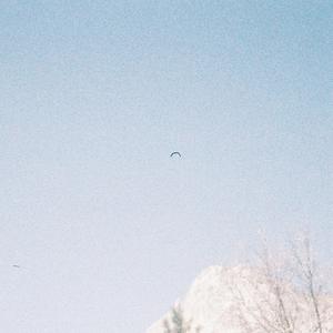 yawn_06-17-25_02'00"