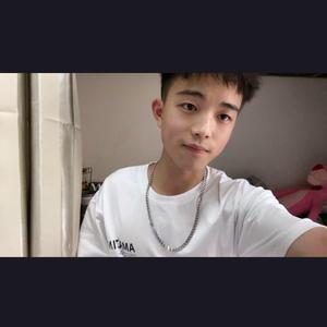 羞答答的玫瑰静悄悄的开