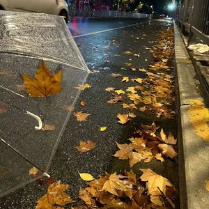 我们生活在巨大落差里