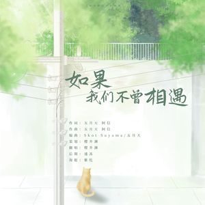 如果我们不曾相遇