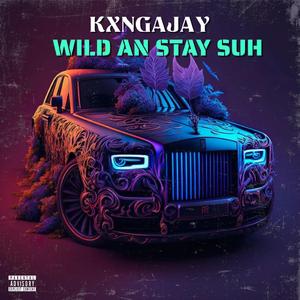 Wild An Stay Suh