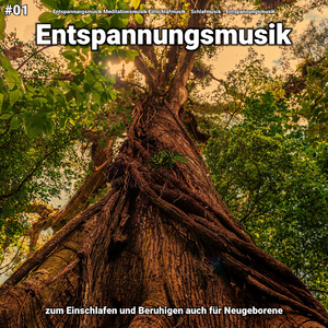 Entspannungsmusik pt. 79