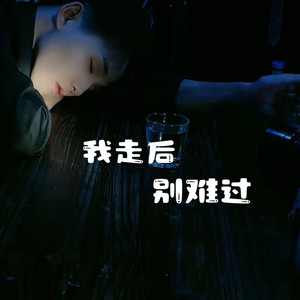我走后别难过 伴奏