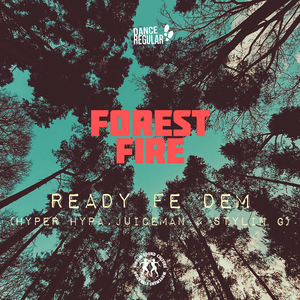 Forest Fire