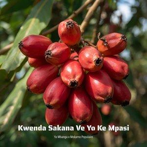 Kwenda Sakana Ve Yo Ke Mpasi (Si Vetuka)