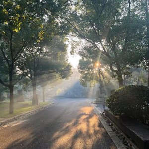 他们都说时间不会停留