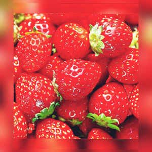 FRUITS OF LOVE MIXTAPE (Live)