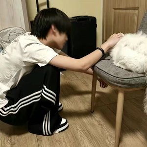 杨梦涵