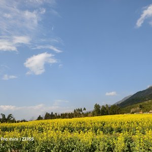 就算终有一散，也别辜负相遇