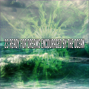 Oceans Waves