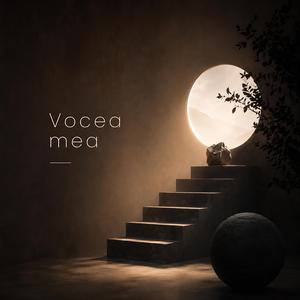 Vocea mea (feat. EA)