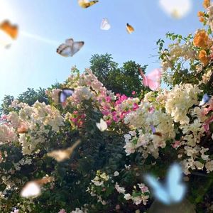 记忆穿梭于云端