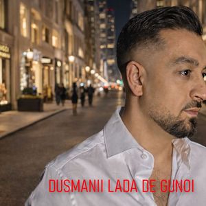 Dusmanii lada de gunoi