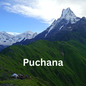 Puchana