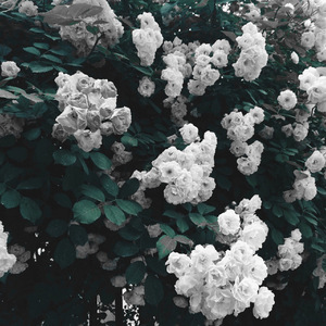 Helpless（Prod.By Robins Lu）