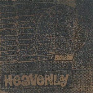 I Fell in Love Last Night