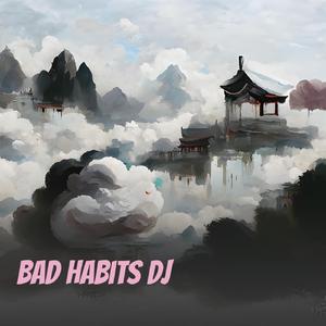 Bad Habits Dj (Remix)