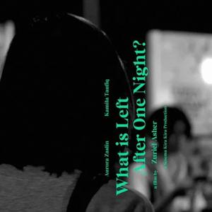 What is Left After One Night (Original Motion Picture Soundtrack)