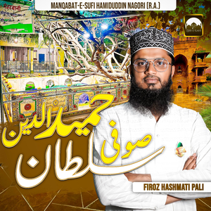 Sufi Sultan Hamiduddin