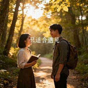 只适合遇见 (Cover 林叙)