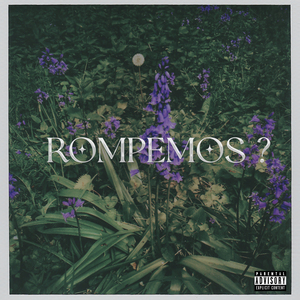 Rompemos?