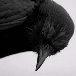 陰暗面.（Prod by FiRe)