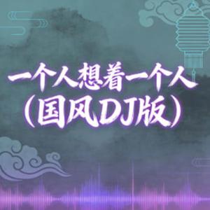 一个人想着一个人 (国风DJ版）
