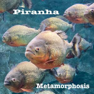 Piranha