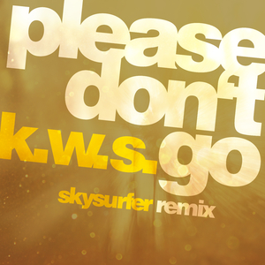Please Don't Go (Skysurfer Extended Mix)
