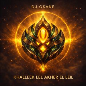 KHALLEEK LEL AKHER EL LEIL (Radio Edit)