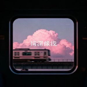 情深缘浅