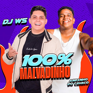 100% Malvadinho