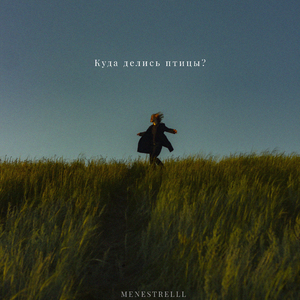 Куда делись птицы?