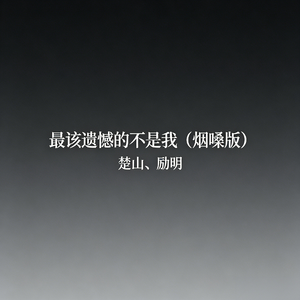 最该遗憾的不是我(烟嗓版)