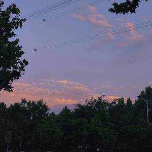 新野-THE WIND RISES（张家杨 remix）