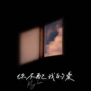 你不配我的爱