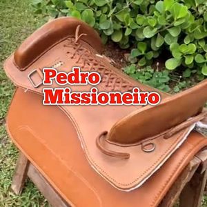 Minha Procedênçia