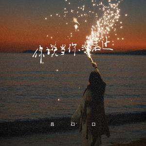 你说当你没来过 (伴奏)