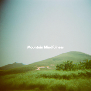 Remarkable Midnight Journeys