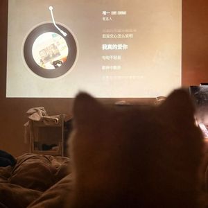 总在深夜想起您