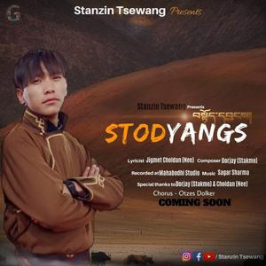 Stodyangs