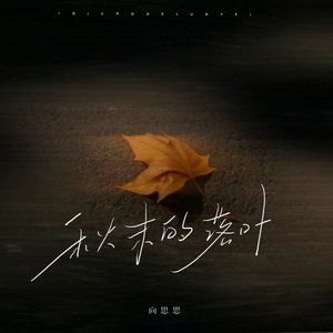 秋末的落叶 (0.9x)